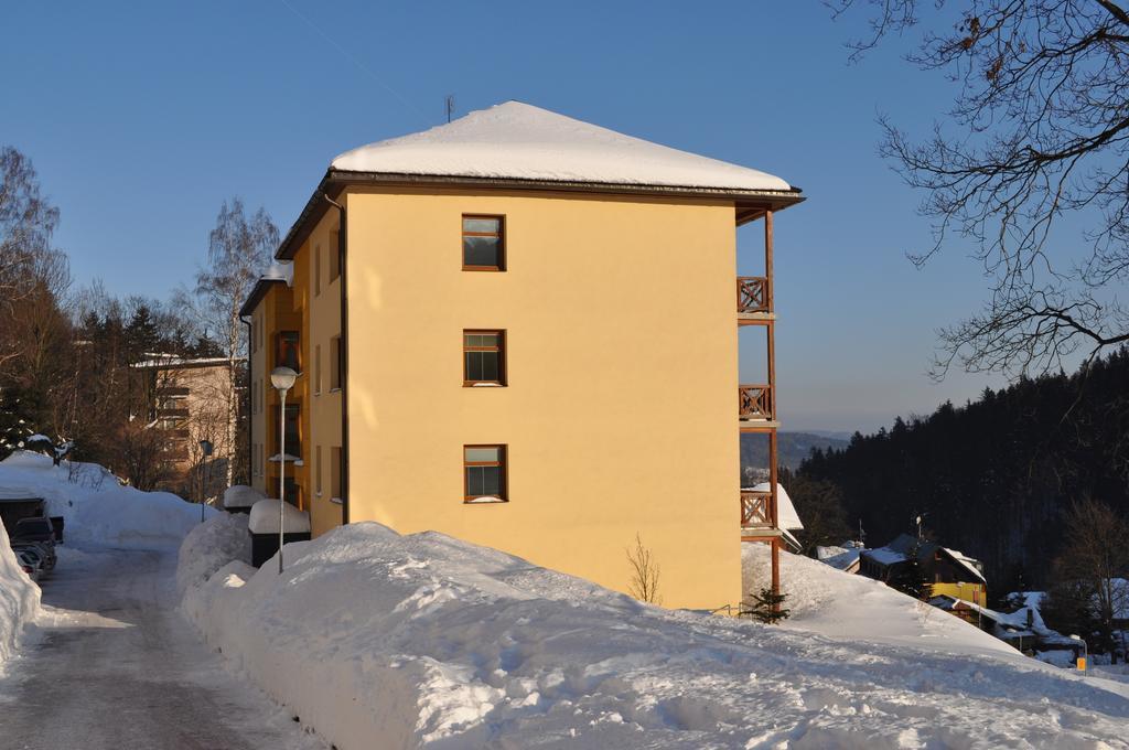 Apartman Kamila Janske Lazne Room photo